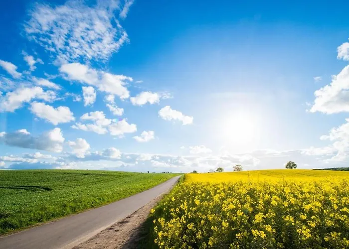 Appartement Anneli's